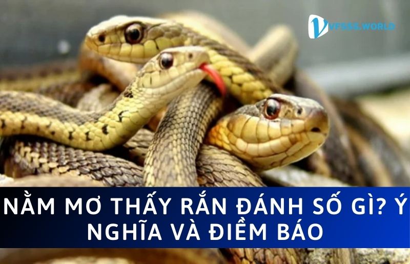 Giải mã nằm mơ thấy rắn