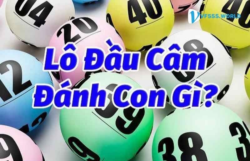 Đánh lô câm đầu con gì?