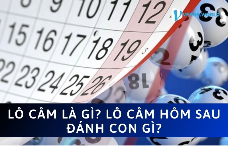 Tìm hiểu về lô câm