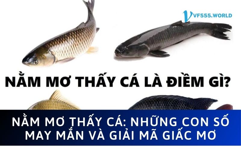 Giải mã nằm mơ thấy cá