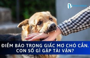 Nằm mơ thấy chó cắn